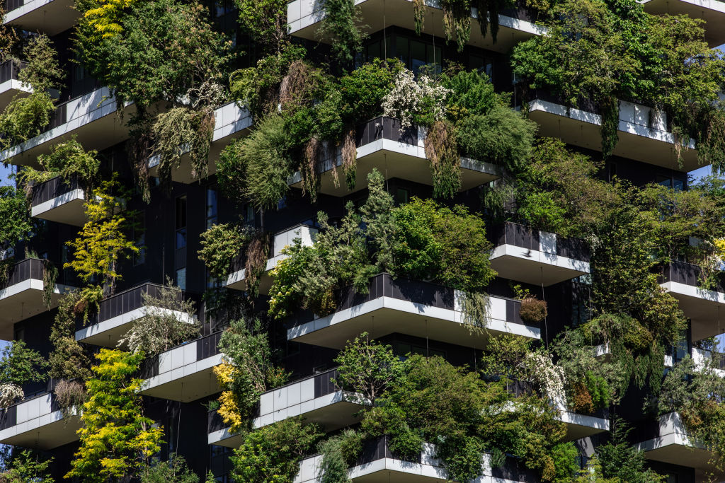 The Vertical Forest: a concrete utopia for the world, from Milan -  InfraJournal