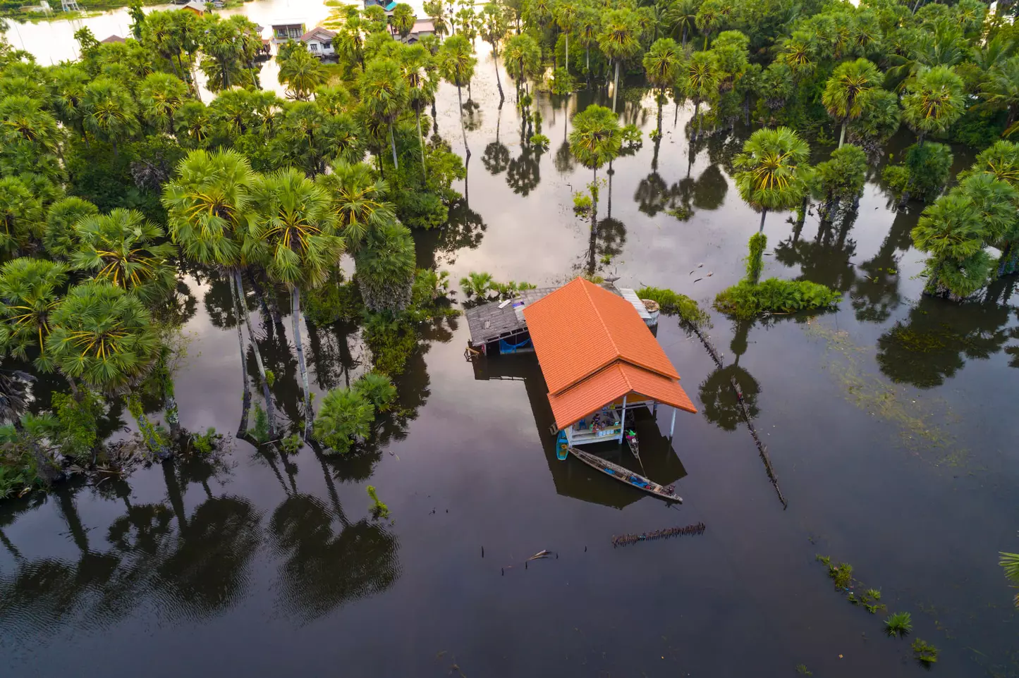 Climate led disasters COP27