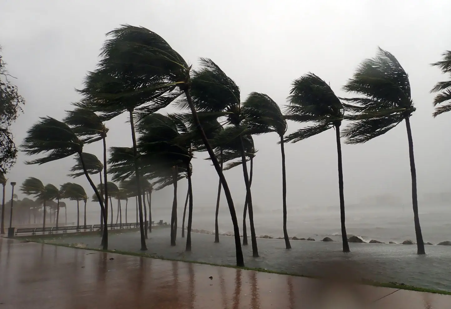 Il cambiamento climatico sta danneggiando gli ecosistemi e le biosfere in tutto il mondo