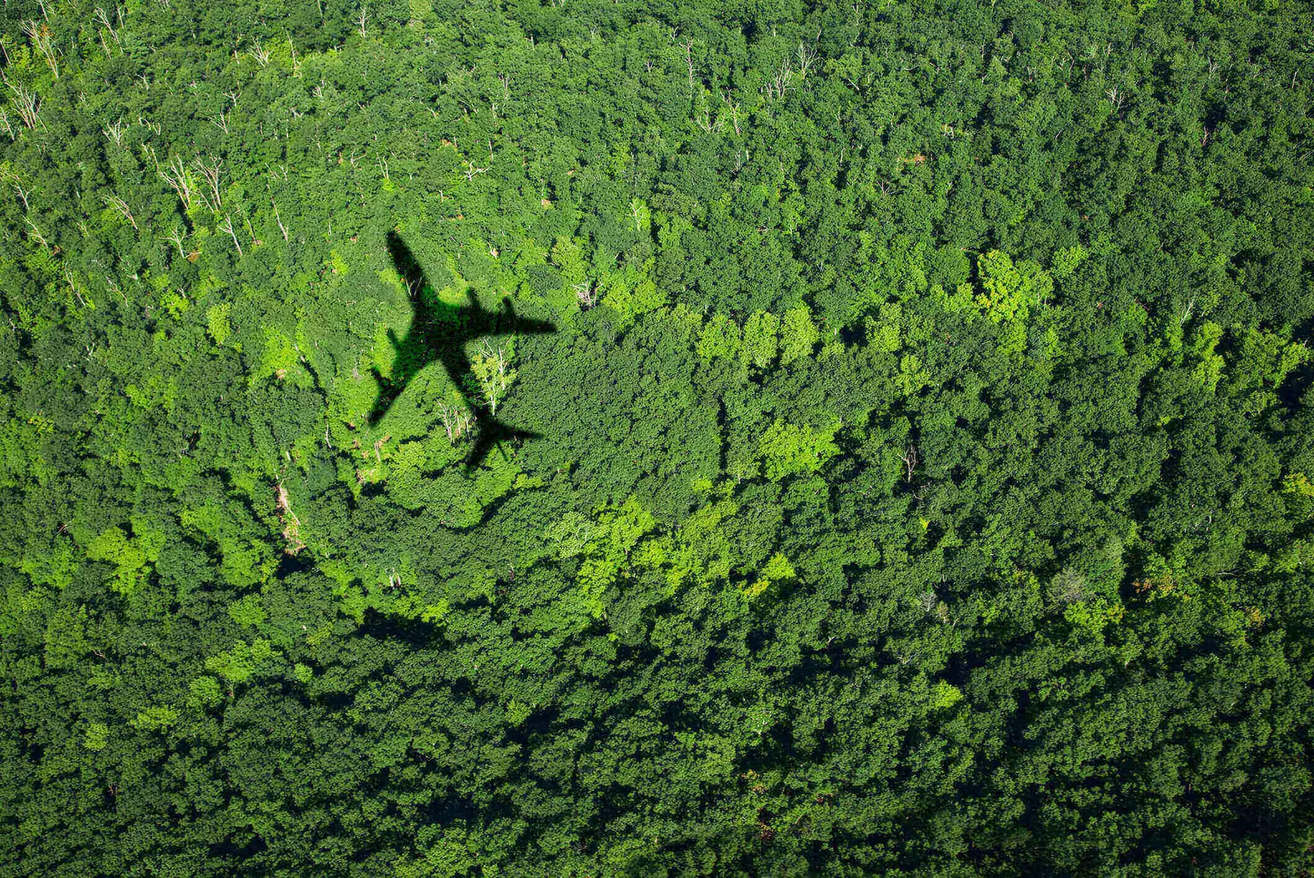 COP26 is asking aviation to achieve zero impact by 2050