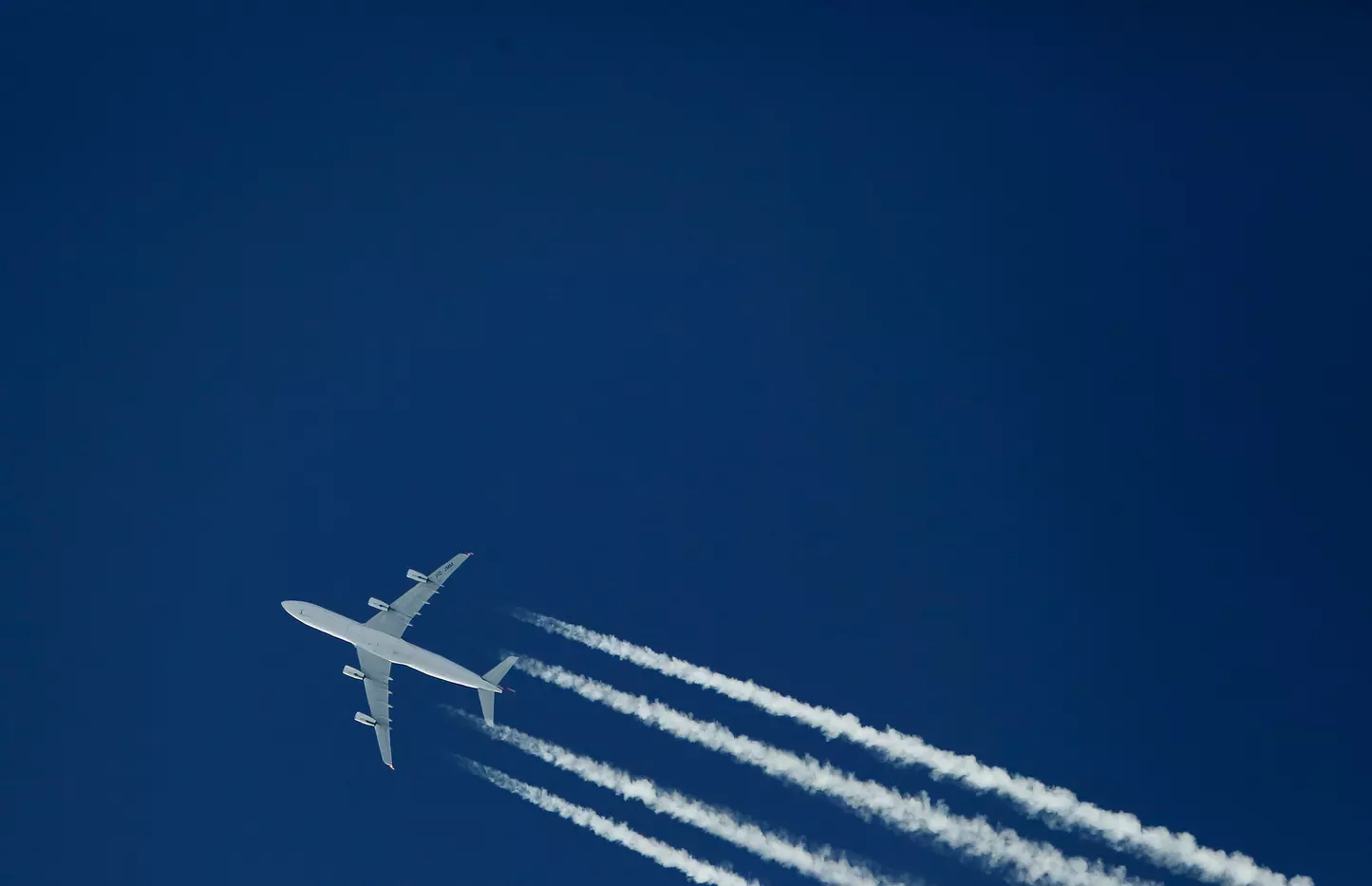 Many airlines continued to fly their planes empty in order to maintain their rights to the airport slots