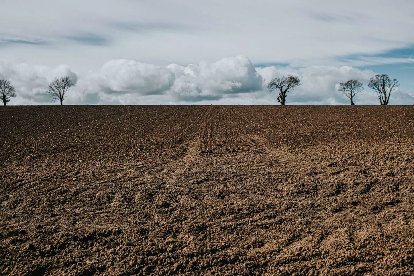 The current in Europe drought appeared to be the worst in at least 500 years