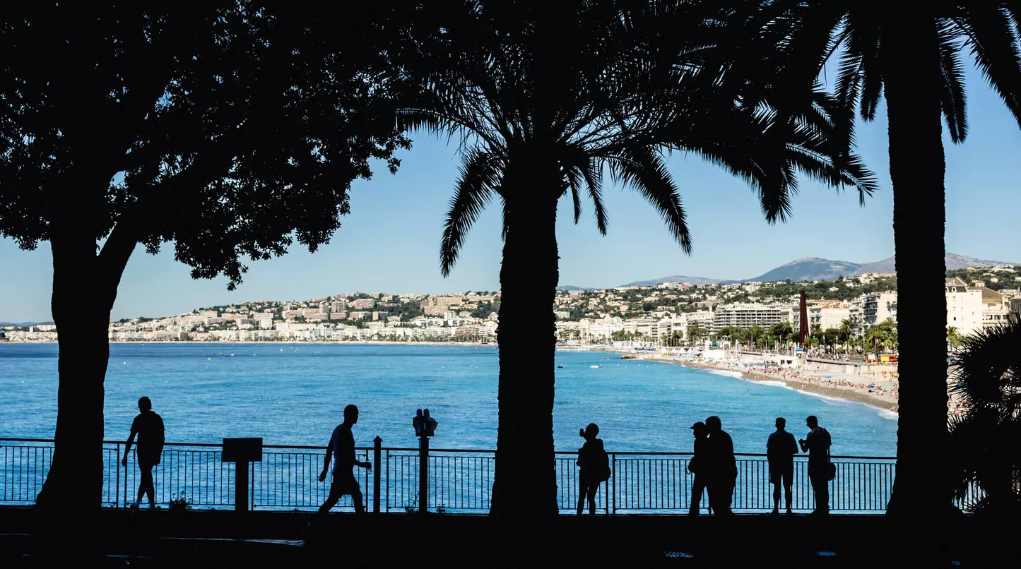 Nice, Promenade des Anglais: last interventions included new trees, the electrification of the streetcar line and the reduction of the lanes for cars